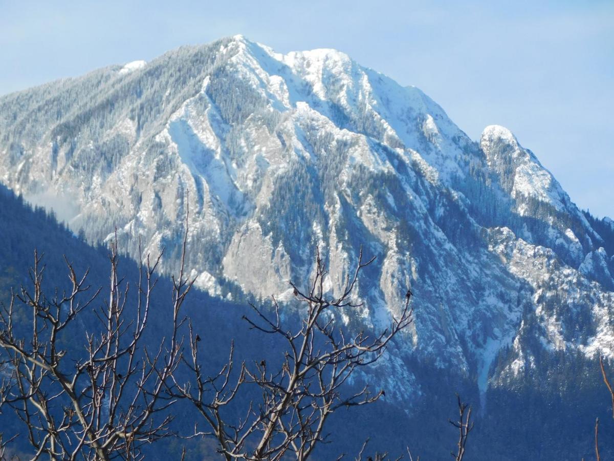Mountain Vista Suites Zărneşti Exterior foto